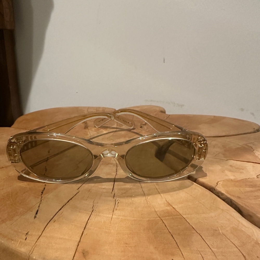 Miu Miu Transparent Sunglasses with Brown Lenses